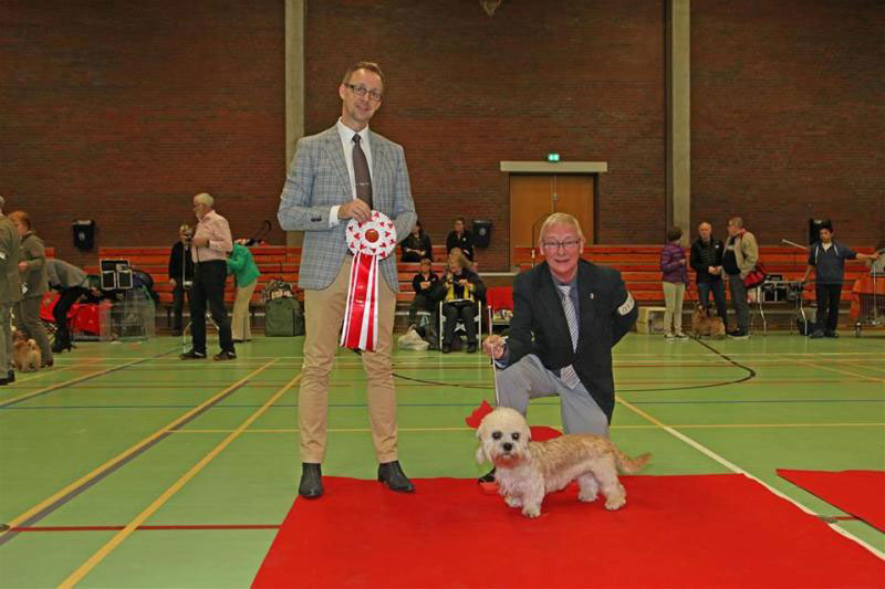 2014-04-12-DTK-Billund-Hobbie-BIS-Puppy-1-judge-Helge-Kvivesen-No